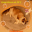 Electric Heated Pet Blanket – 3-Speed Constant Temperature for Cats