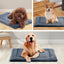 Bite-Resistant Dog Crate Pad – Thickened Waterproof Anti-Urine Mat