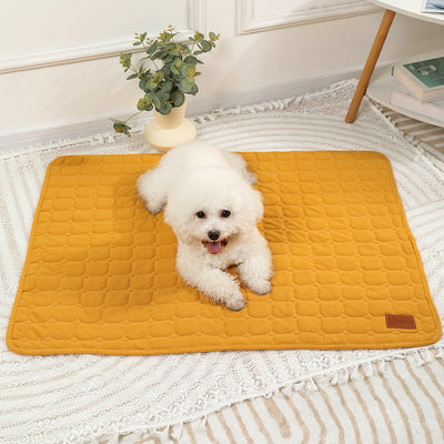 Thick Winter Pet Mat – Warm & Cozy for Cats & Dogs