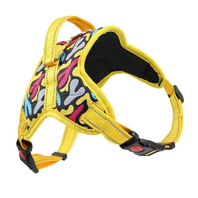 Reflective Dog Harness & Leash Set – Adjustable Pet Walking Gear