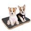 3-Layer Pet Mat – Quick Absorbent & Warm Dog Cat Sleeping Pad