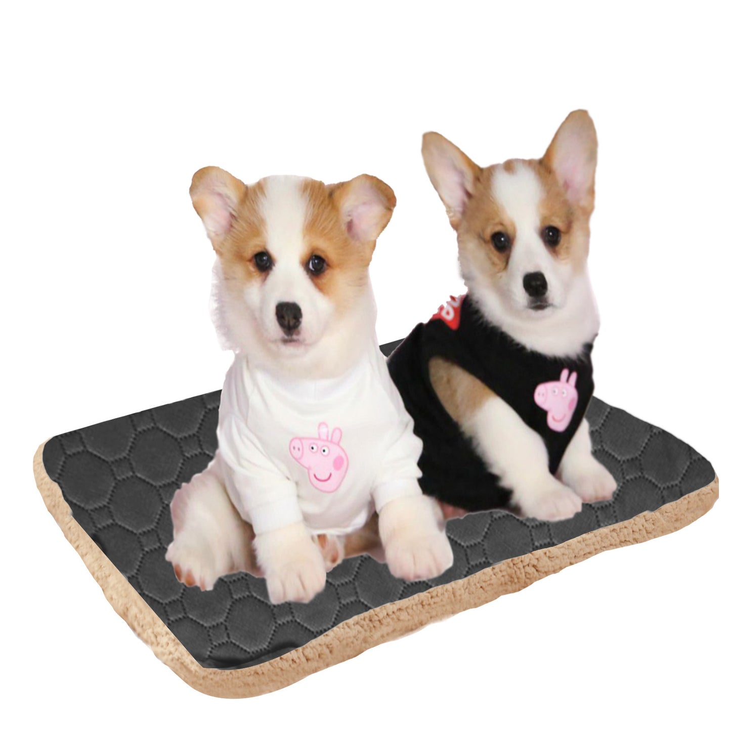 3-Layer Pet Mat – Quick Absorbent & Warm Dog Cat Sleeping Pad