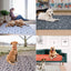 Reusable Dog Diaper Pad – Washable & Absorbent Training Mat for Pets