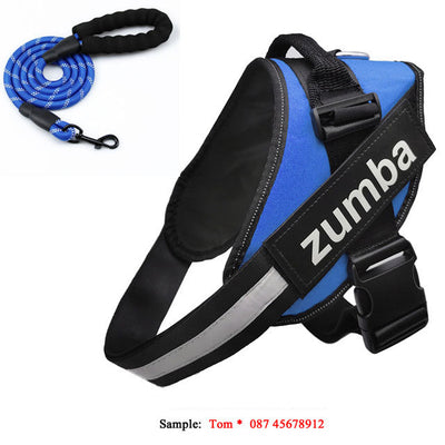 Reflective Adjustable Dog Harness & Leash Set – Personalized