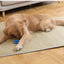 Non-Slip Pet Sleeping Mat – Washable Dog Bed Pad for Cats & Puppies
