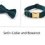 Sapphire Green Velvet Pet Collar & Leash – Gold Buckle Hardware