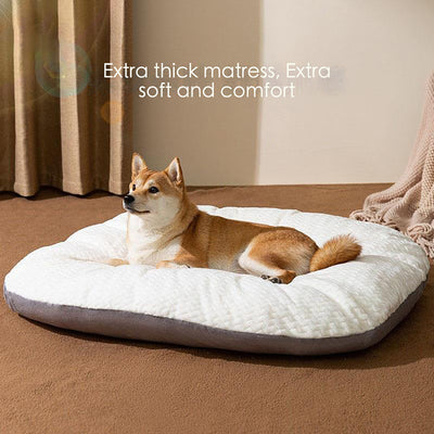 Oval Dog Bed – Large Washable Cushion for Crates & Sleeping Comfort