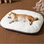 Oval Dog Bed – Large Washable Cushion for Crates & Sleeping Comfort