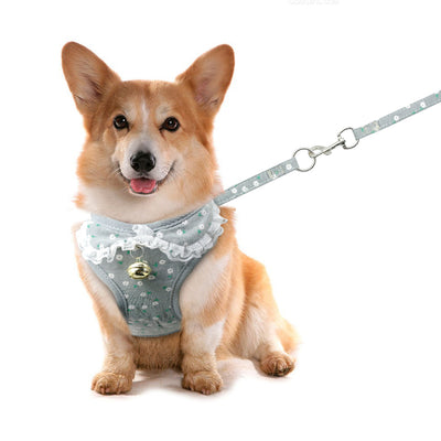 Pink Dog Harness & Leash Set – Small Dog Chest Harness with Bell