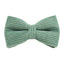 Velvet Pet Collar – Soft Adjustable Fabric Collar