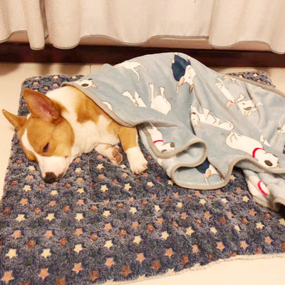 Padded Warm Pet Mat – Soft Winter Dog Sleeping Cushion