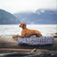 Machine Washable Pet Mat – Non-Wool Soft Sleeping Pad