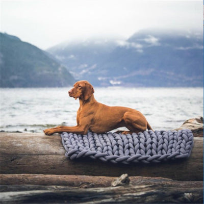 Machine Washable Pet Mat – Non-Wool Soft Sleeping Pad