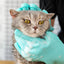 Silicone Pet Grooming Glove – Dog & Cat Bath Brush and Hair Remover