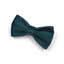 Sapphire Green Velvet Pet Collar & Leash – Gold Buckle Hardware