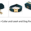 Sapphire Green Velvet Pet Collar & Leash – Gold Buckle Hardware