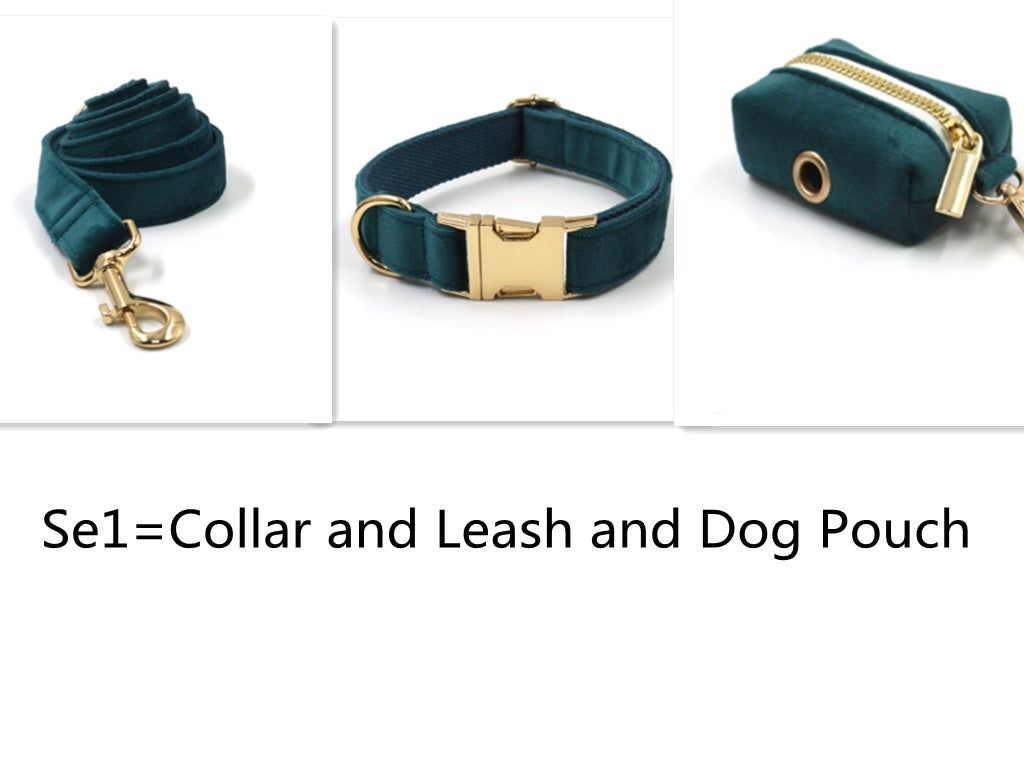 Sapphire Green Velvet Pet Collar & Leash – Gold Buckle Hardware