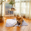 Washable Reusable Pet Urine Pads – Waterproof Pee Mats for Dogs & Cats