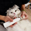 Pet Nail Trimmer – Dog & Cat Grooming and Cleaning Tool