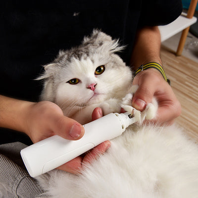 Pet Nail Trimmer – Dog & Cat Grooming and Cleaning Tool
