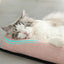 Summer Cooling Pet Mat – Breathable Sleeping Pad for Cats & Dogs