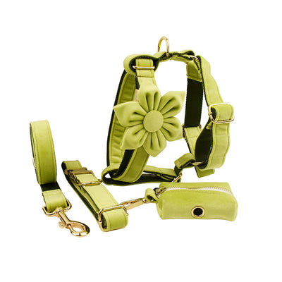 Velvet Dog Collar – Soft Fabric Pet Collar