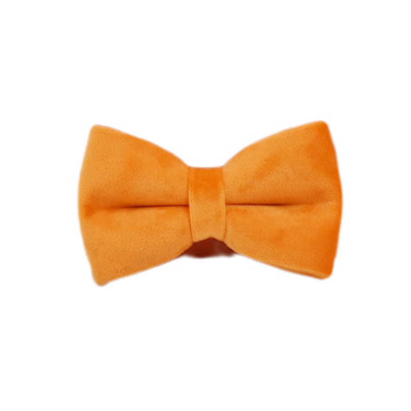 Velvet Pet Collar – Soft Adjustable Fabric Collar