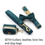 Sapphire Green Velvet Pet Collar & Leash – Gold Buckle Hardware