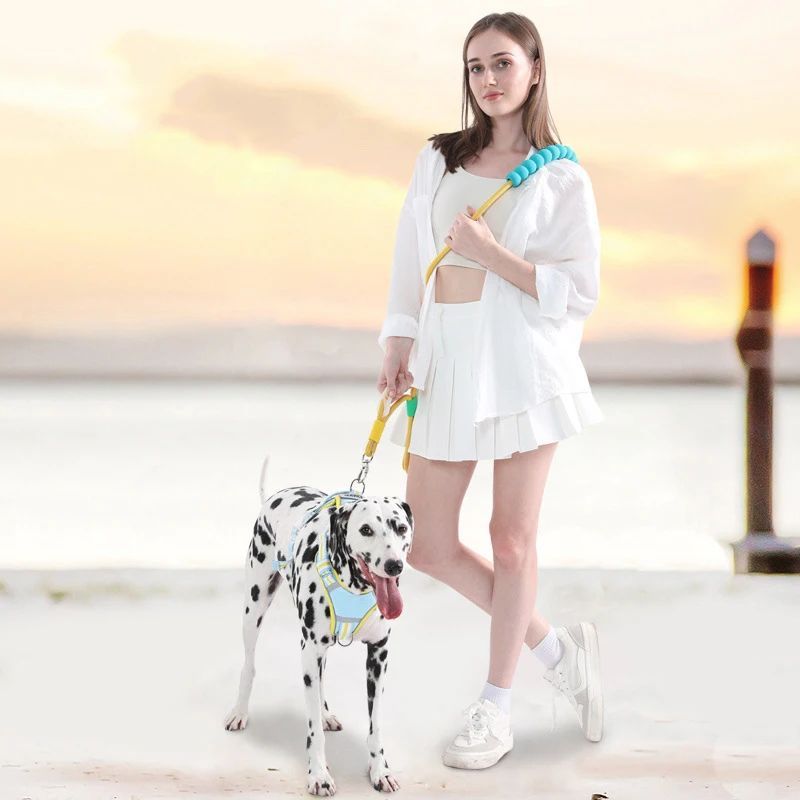 Dog Traction Rope Leash – Anti-Slip with Comfortable Foam Handle