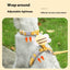 Pet Leash with Handle – Durable Rope
