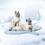 Summer Cooling Pet Mat – Cat & Dog Ice Pad with Ginkgo Leaf Design