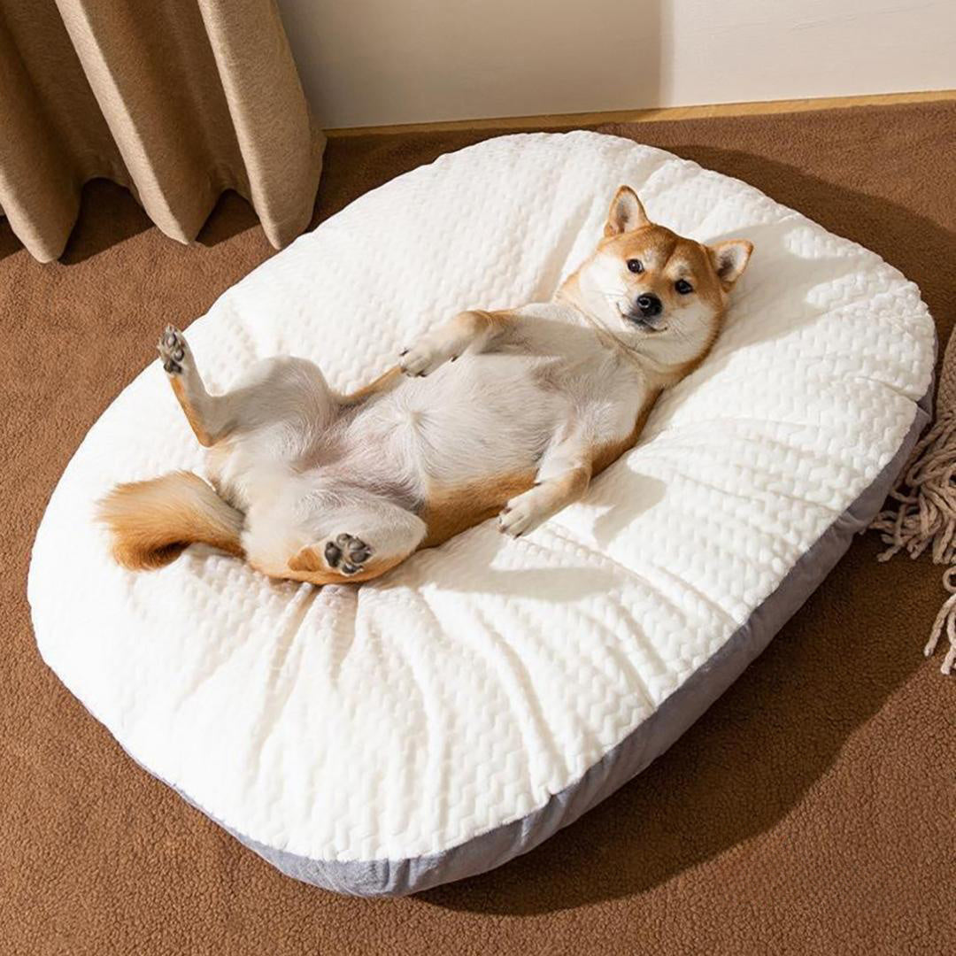 Oval Dog Bed – Large Washable Cushion for Crates & Sleeping Comfort