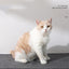 Self-Heating Pet Blanket – Warm & Cozy for Dogs