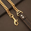 Stainless Steel Cuban Chain Dog Collar – Heavy Duty Training Leash