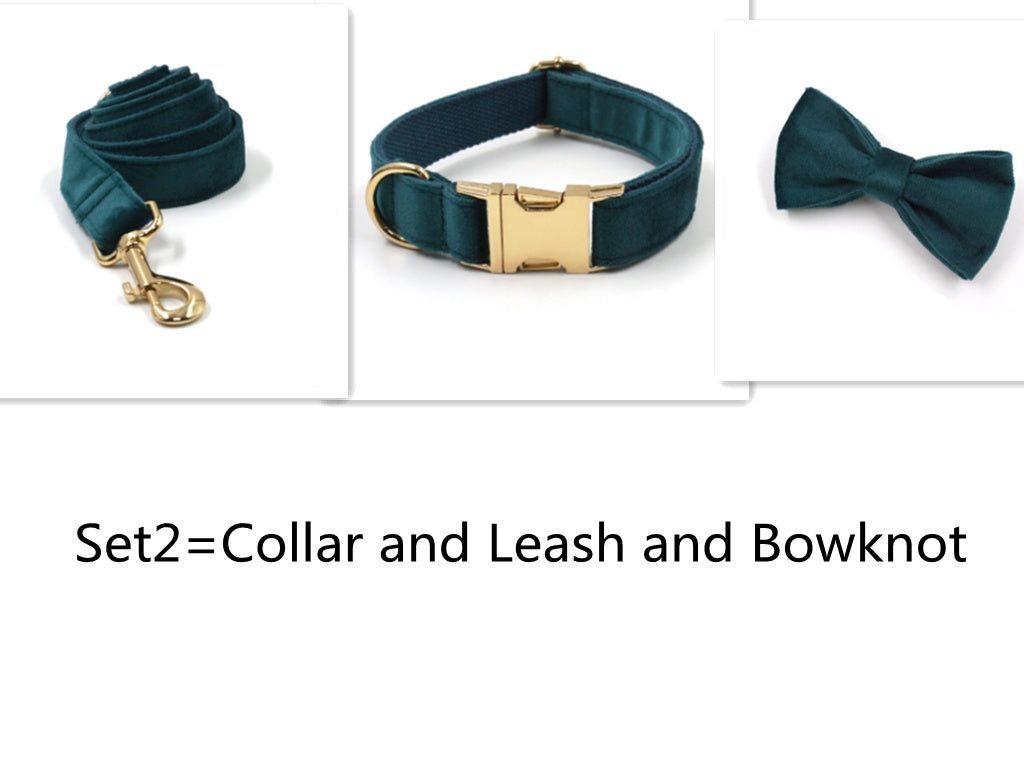 Sapphire Green Velvet Pet Collar & Leash – Gold Buckle Hardware