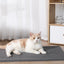 Self-Heating Pet Blanket – Warm & Cozy for Dogs