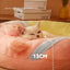 All-Season Cat Bed – Warm Winter Sleeping House & Mat for Kittens
