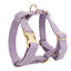 Velvet Dog Collar – Soft Fabric Pet Collar