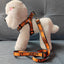 Pet Dog Print Harness & Leash Set – Adjustable Chest Strap