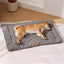 PV Wool Pet Cushion – Fish Scale Pattern Bed for Cats & Dogs