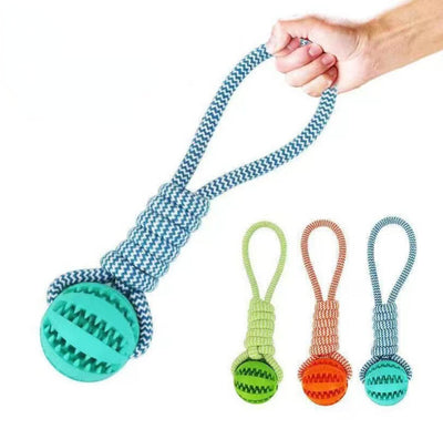 Interactive Dog Treat Ball – Chew Toy with Hemp Rope