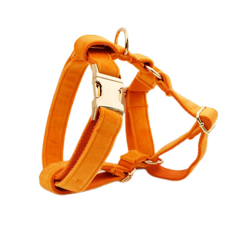 Velvet Pet Collar – Soft Adjustable Fabric Collar